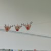 SCHU_SOB_Advent